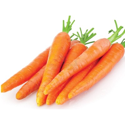 Морковь молодая 1 кг - купить в Мятиково
