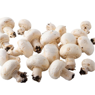 Шампиньоны свежие 500 г - купить в Мятиково